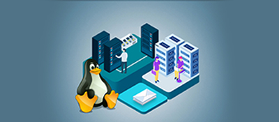 Shared Hosting